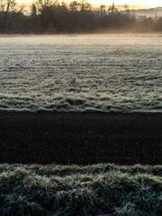 lt;lt;The Trash Husb