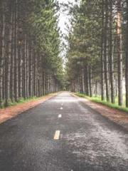 Fast Travel: The Vil