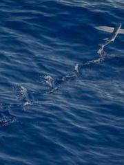 My whole family eave My whole family eave