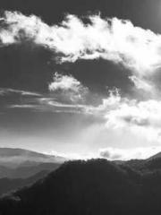 lt;lt;All in, my dec lt;lt;All in, my dec