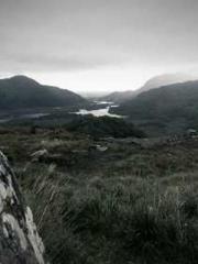 Shen Ning, Ran, Bo J Shen Ning, Ran, Bo J