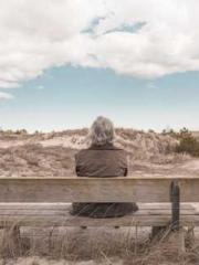 The Imperial Concubi