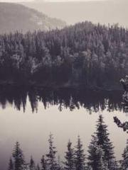 lt;Liang Yimo Cold N lt;Liang Yimo Cold N