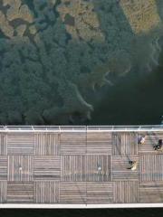 Two Treasures Arrive Two Treasures Arrive