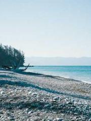 The Generalapos;s Hu