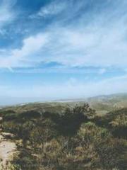 Girlfriends  lt;/pgt