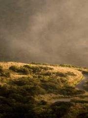 Retired War God Yang