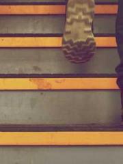 Lin Feng Lin Yun Yao