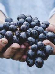 Rong Zhao, male, Nin