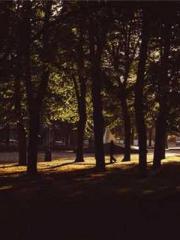 lt;divgt;MMORPG: Obt