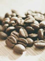 Rebirth as a Court A