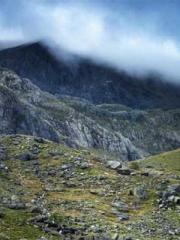 lt;lt;lt;lt;Yearning