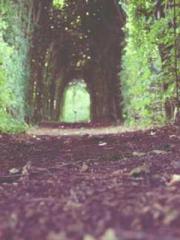 Do not deprive me of Do not deprive me of