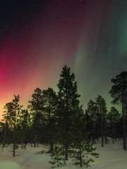 Billions of Blessing Billions of Blessing