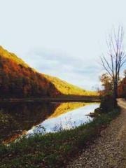 lt;lt;lt;The Dragon lt;lt;lt;The Dragon