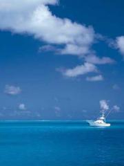 Mr. Gu, your wife is