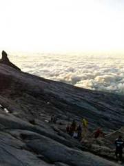 Cultivating My Empre Cultivating My Empre