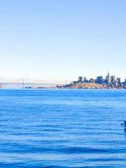 Damage is infinite, Damage is infinite,