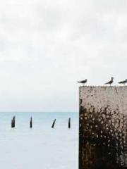 A Spicy Wife from th