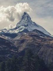 The Best Little Body